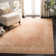 Evanoff Taupe Area Rug