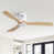 White / Beige Wood