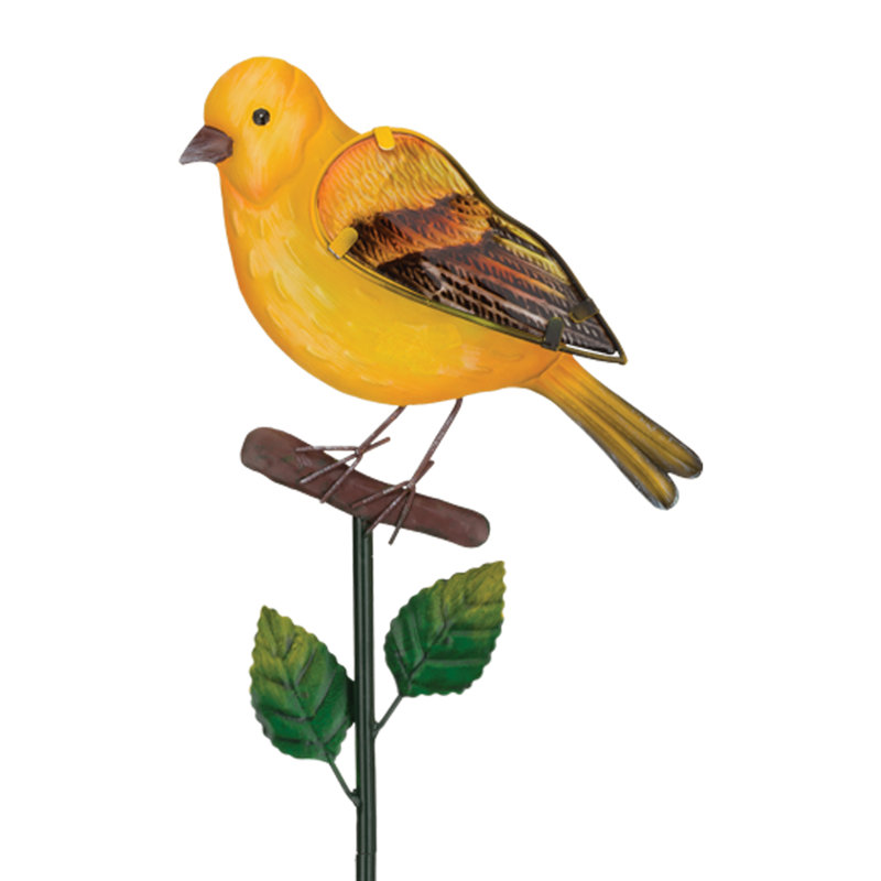 Piquet Songbird - Oriole