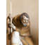 Saint Joseph Figurine-50342115