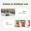 Pot Planter