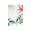 Bloom XV Print-26942543-26942551