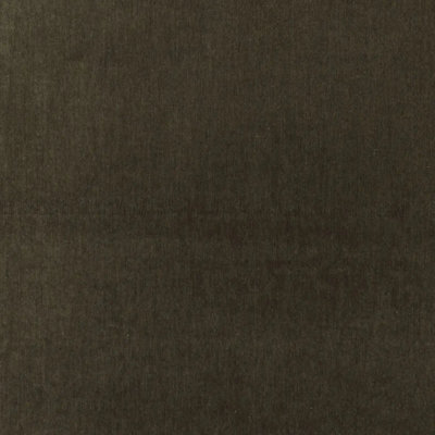Whistler Velvet Fabric