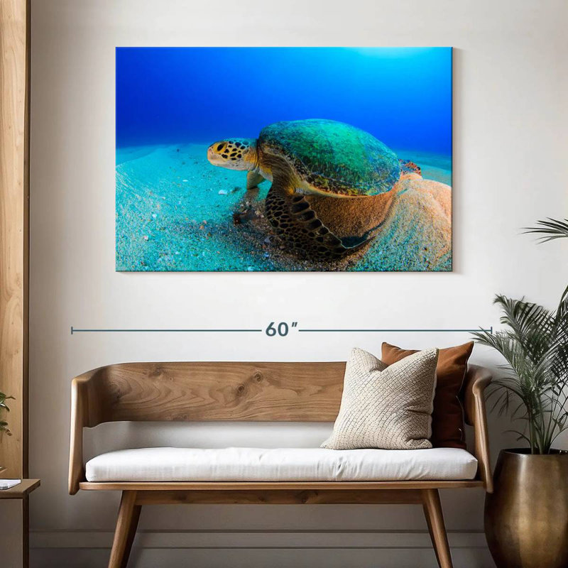 Brampt Resting Sea Turtle, 32" H x 48" W