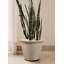 Pot à fleurs en polyéthylène-87810296