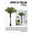 72'' Faux Palm Tree in Pot