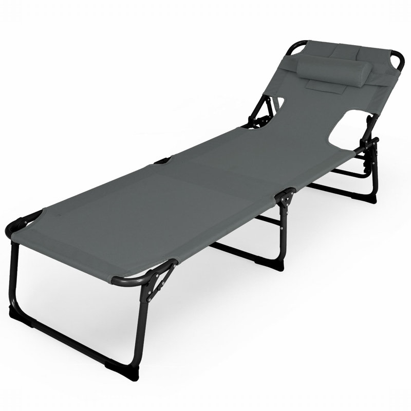 Jayeden Outdoor Chaise Lounge, Gray