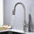 Brushed Nickel selected