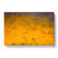 Egrets At Sunset In Abstract - Wrapped Canvas Print-55316814