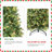 Christmas Tree-522688103