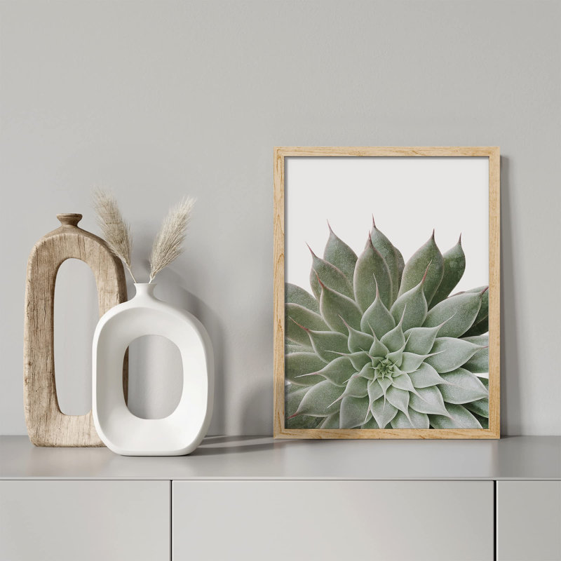 " Desert Succulent Close Up Echeveria Green Flower ", Natural, 16" H x 12" W