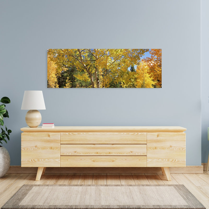 Aspen Trees in Autumn, Colorado, États-Unis, art contemporain de paysage forestier abstrait, H 48 po x l 16 po
