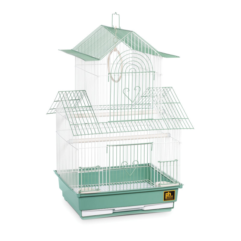 Cage à oiseaux Higbee 22 po, Vert / blanc