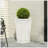 PLANTER
