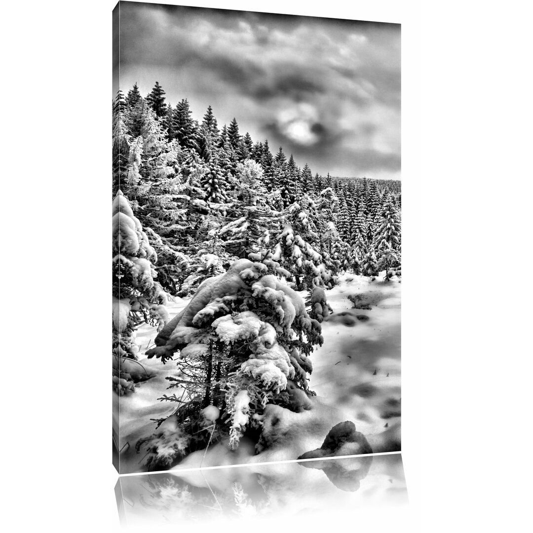 Leinwandbild Winterlandschaft, vereister See in Monochrom