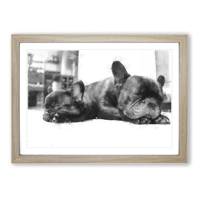 Two French Bulldogs - Framed Print