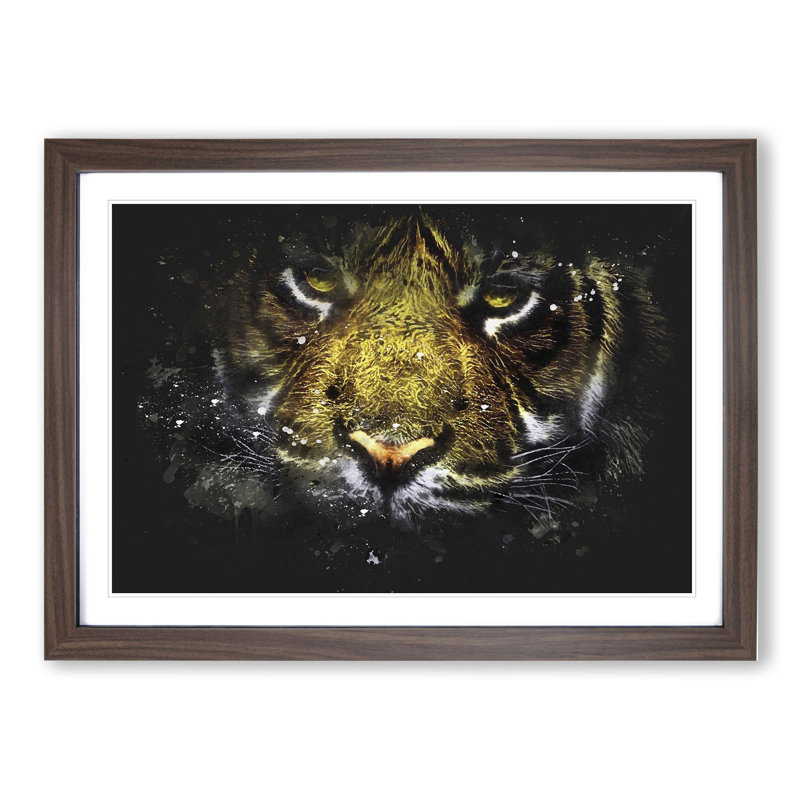 Tiger Vol.2 Paint Splash - Picture Frame Graphic Art, Walnut, 48cm H x 65cm W x 2cm D