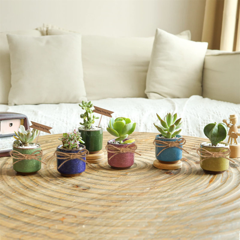 Abyade Ceramic Pot Planter