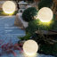 Globe terrestre imperméable Moon Stakes-110089900