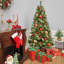 The Holiday Aisle® Onftia pin 7,5 pi avec lumières DEL
