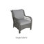Ashlyn Wicker Patio Chair with Cushions