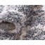 Tapis gris à motif géométrique Mitzy-842020797