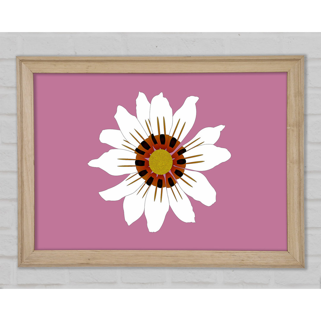 White Daisy Pinks - Druck