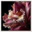 Velvet Labellum Print by Oliver Gal-819406402-819406413