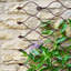 Outdoor Honeycomb Trellis Bronze H100cm W78cm-1631964841