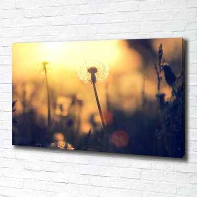 Dandelion - No Frame Print on Canvas