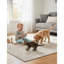 Tapis intérieur / extérieur en damas gris / beige 8 pi x 11 pi (7 pi 9 po x 10 pi 8 po) Liora-710580526