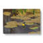 Lilly Pond by Bruno Liljefors - Wrapped Canvas-61881879