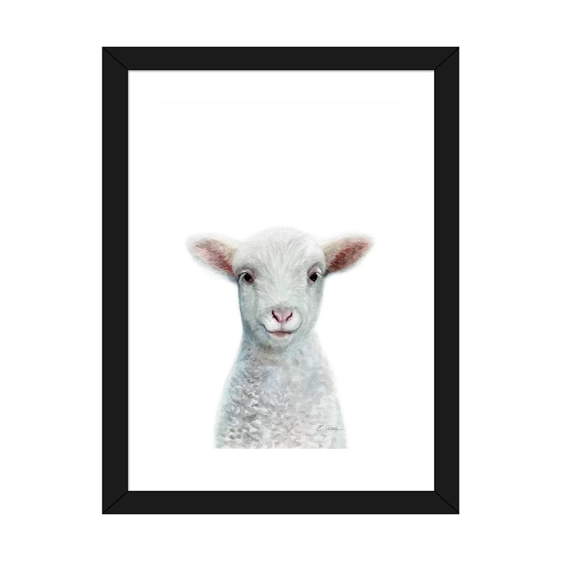«Baby Sheep», reproduction d'art, Blanc, H 32 po x l 24 po x P 1 po, Papier encadré noir