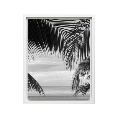 Vue entre les feuilles de palmier