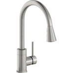 Avado Pull Down Single Handle Kitchen Faucet with Accessories