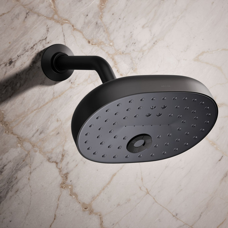 StatementOval Multifunction Showerhead with Katalyst Air-Induction Technology, Matte Black