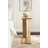 Thaxter Mango Wood C-Table for Use as TV Tray Table