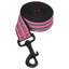 Pet Carrier-644978351
