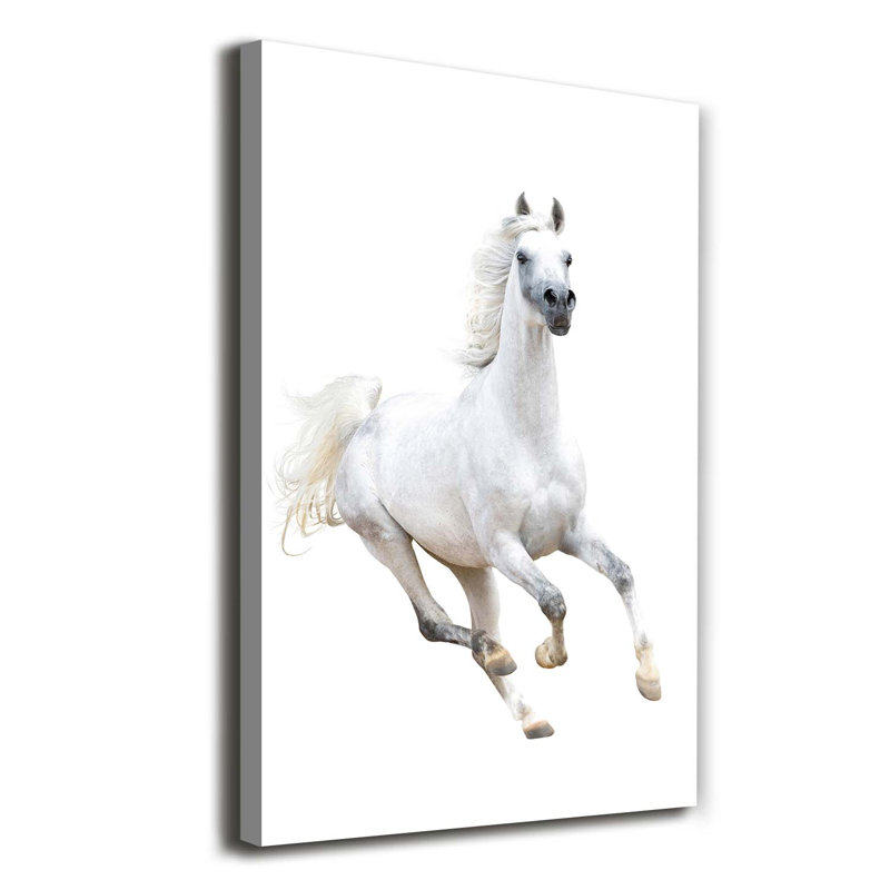White Horse In Gallop - Wrapped Canvas Print