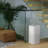 Levoit PlasmaPro 600S Smart Air Purifier