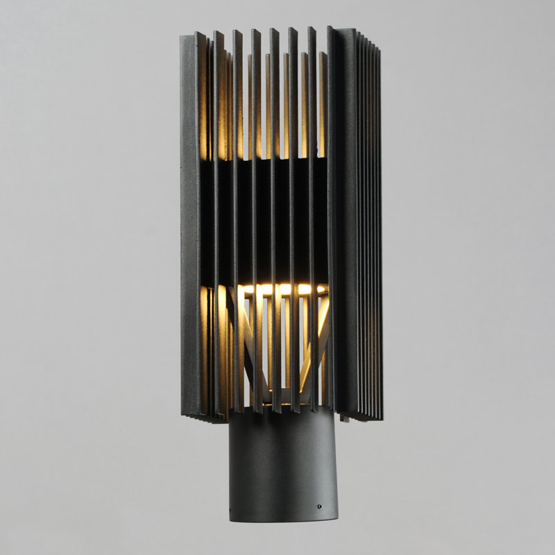 Sajan Lantern Head
