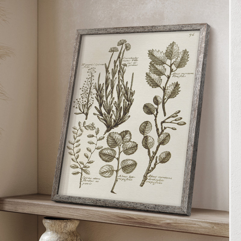 «Sepia Botanical Journal», reproduction encadrée en bois massif, H 11 po x l 9 po