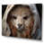 Wrapped Canvas selected