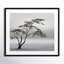 «Tree Silhouette» par Piet Flour - photographie de cadre-873061605-873061612