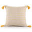 Housse de coussin Hainsly-87654919-101698620