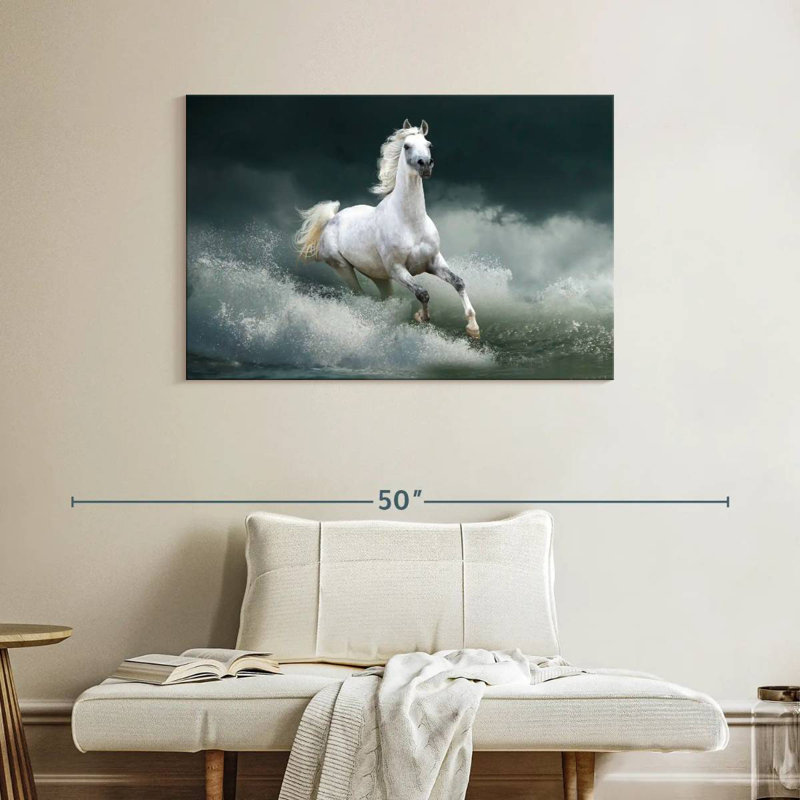 Brampt cheval qui court sauvage sur l'eau