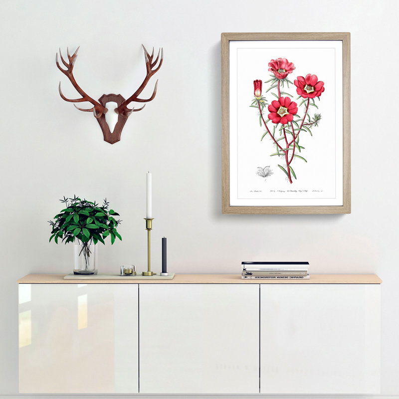 Pink Rose Moss Flowers - Framed Print, 36cm H x 27cm W x 2cm D, Oak Framed