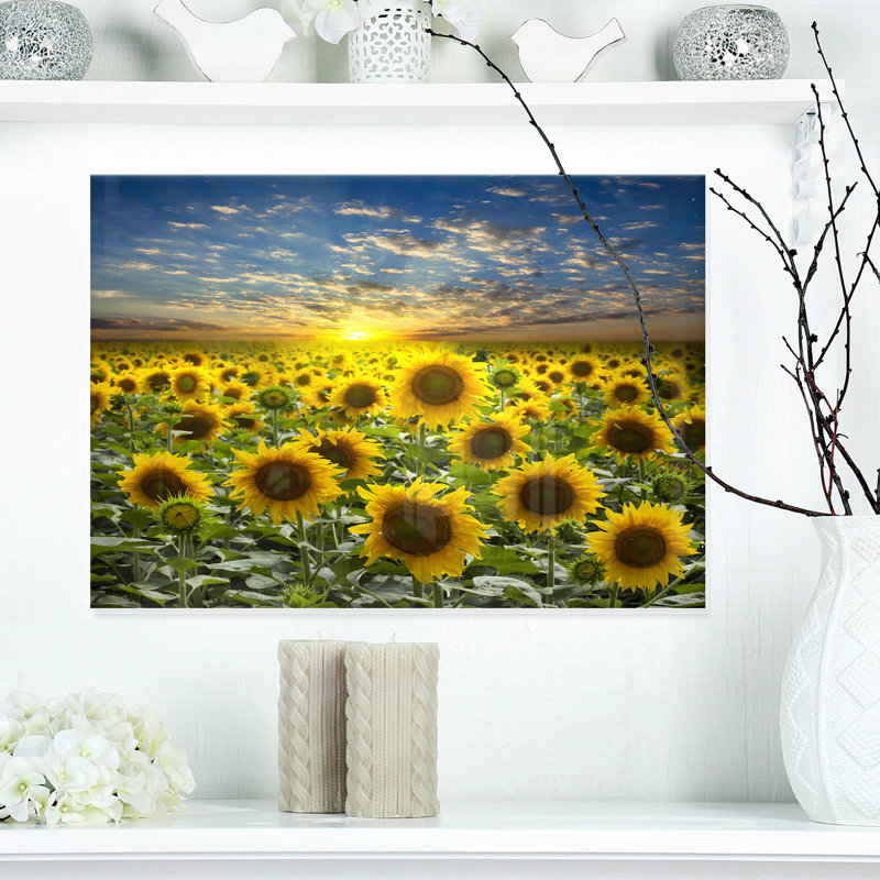 Champ de tournesols en fleurs - reproduction d'art sur bois massif, H 8 po x l 12 po, Toile tendue, Sans cadre