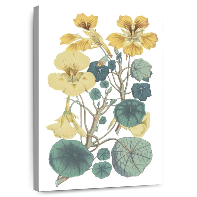 Harnek Antique Botanical I Cool, H 36 po x l 24 po