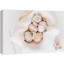 Gros plan, zeste d'ail, fines herbes, assaisonnement, nourriture, cuisine, cuisine, décoration murale, rustique-98161841